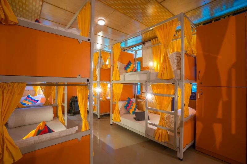 Bed in 12 Bed Mixed Dormitory Room with Ensuite Bathroom 1